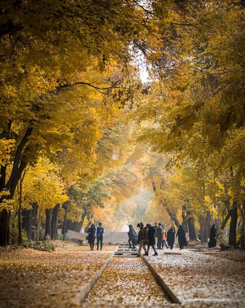 عکس پاییز چهارباغ اصفهان
