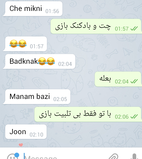 عکس چت های بی ادبی