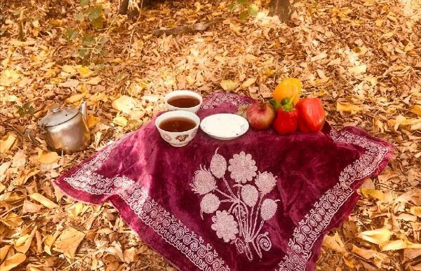 عکس ظهر پاییزی