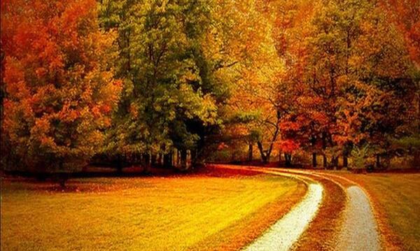 عکس ظهر پاییزی