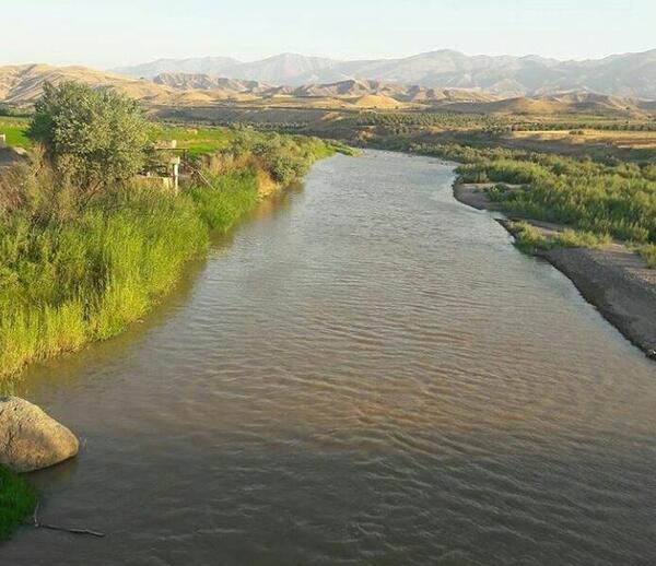 عکس امین حیایی در طارم