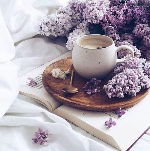 عکس تصویر پروفایل زیبا
