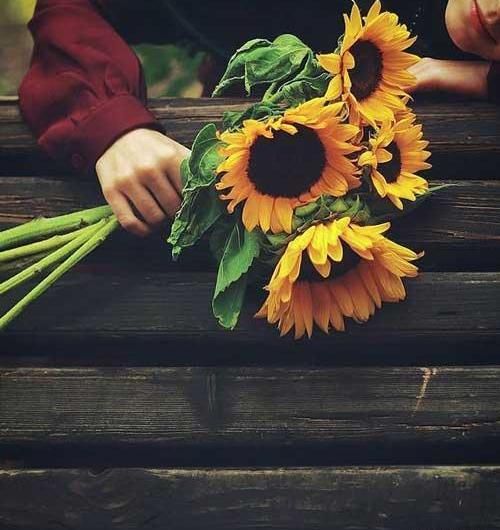 عکس تصویر پروفایل زیبا