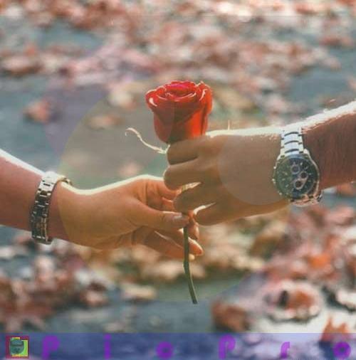 عکس نوشته عاشقانه گل نرگس