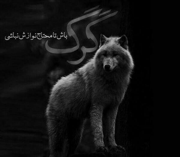 عکس قشنگ برای پروفایل خفن