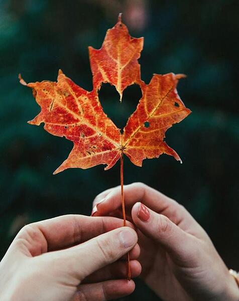 عکس دخترانه پاییزی بدون متن