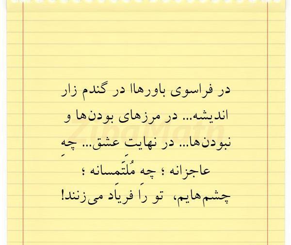 عکس نوشته های گندم زار