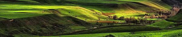 عکس طبیعت تابستان شمال