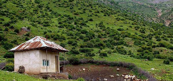 عکس طبیعت تابستان شمال