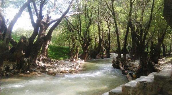 عکس جاهای دیدنی لردگان