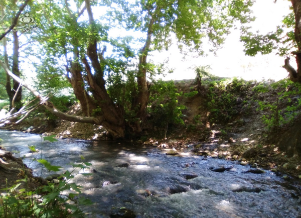 عکس جاهای دیدنی لردگان