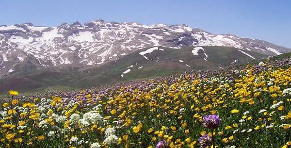 عکس دیدنی کردستان