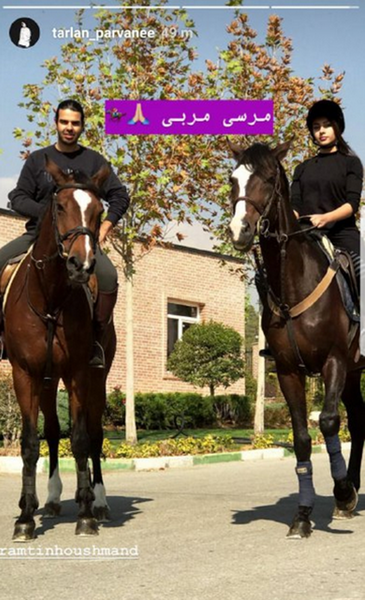 عکس حیوان ترلان پروانه