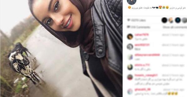 عکس حیوان ترلان پروانه
