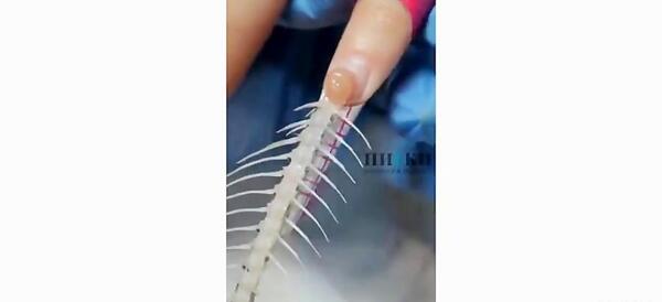 عکس ناخن های عجیب غریب
