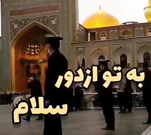 عکس استوری یا امام رضا سلام