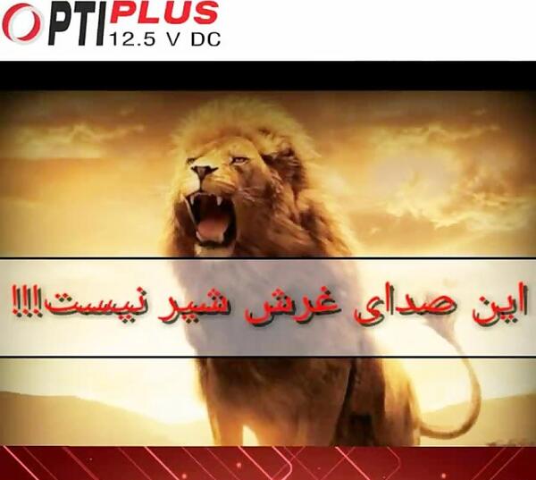 عکس شیر درحال قرش