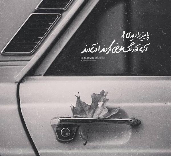 عکس نوشته پاییز را دیدی آنانکه رنگ عوض کردند