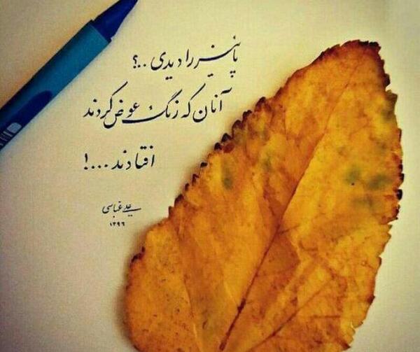 عکس نوشته پاییز را دیدی آنانکه رنگ عوض کردند