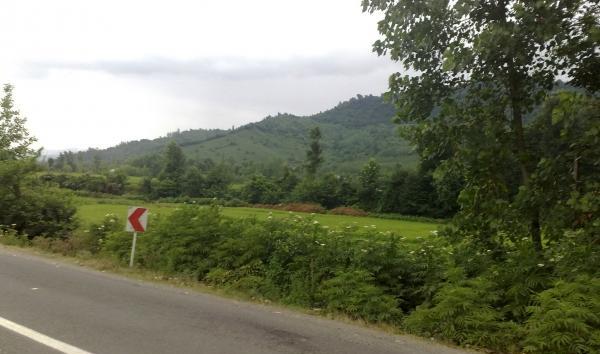 عکس طبیعت واقعی شمال