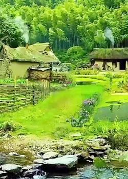 عکس طبیعت واقعی شمال