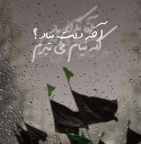 عکس زیبای پیاده روی اربعین