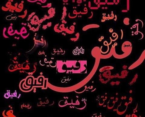 عکس قلب رفیق