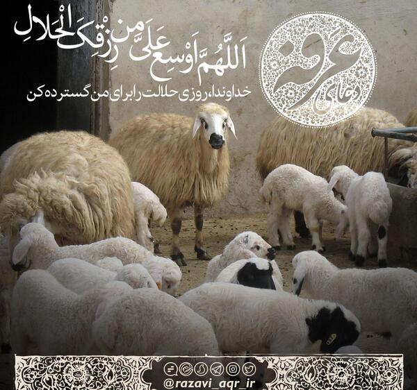 عکس پروفایل روز عرفه