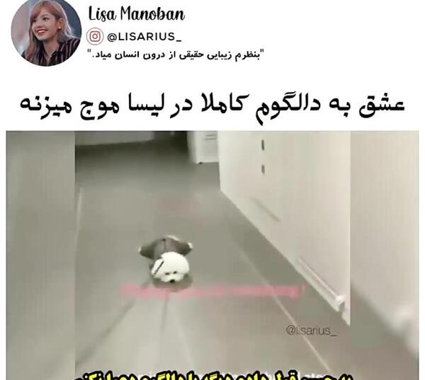 عکس دالگوم سگ جیسو
