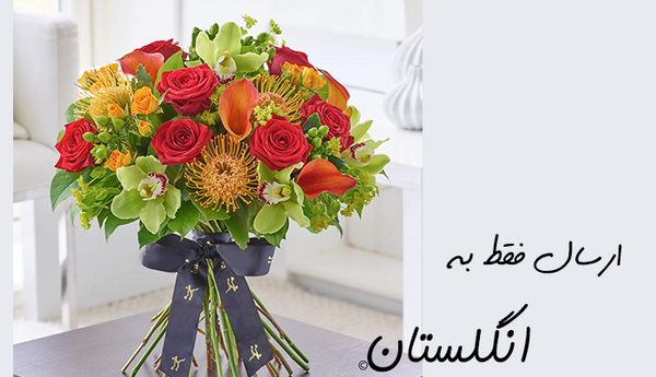 عکس گل جمیله