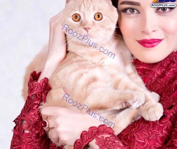 عکس ژست گربه
