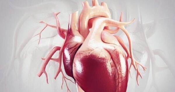 عکس قلب واقعی