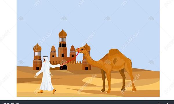 عکس شتر و صحرا