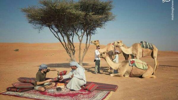 عکس شتر و صحرا