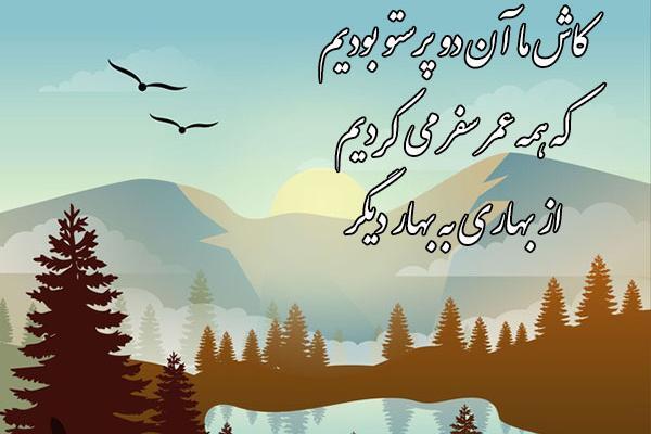 عکس نوشته فریدون فرخزاد