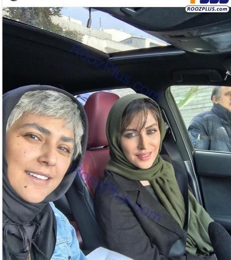 عکس ترلان پروانه در رقص روی شیشه