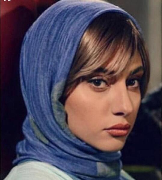 عکس ترلان پروانه در رقص روی شیشه