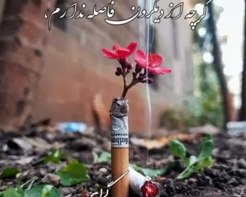 عکس پروفایل تو کوچه ماهم عروسی میشه