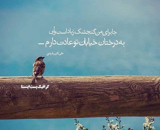 عکس پروفایل خاص و مفهومی