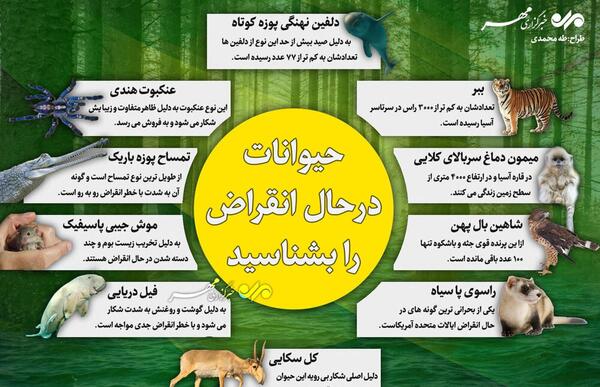 عکس حیوانات درحال انقراض ایران