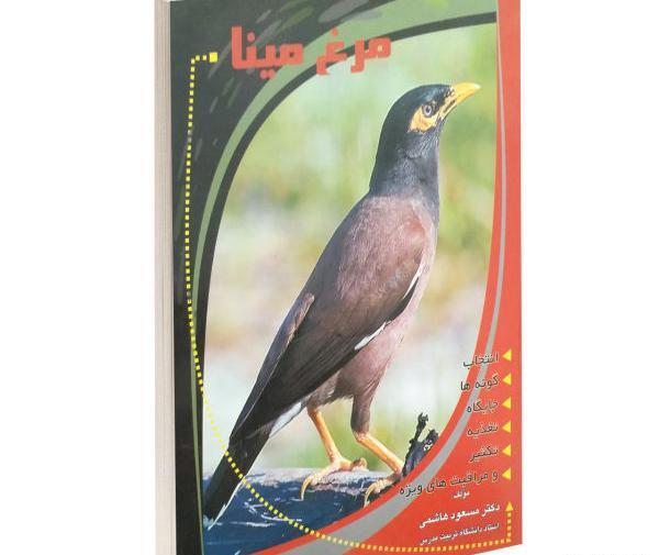 عکس مینای تهران