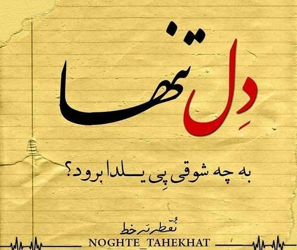 عکس پروفایل دل تنهابه چه شوقی پی یلدا برود