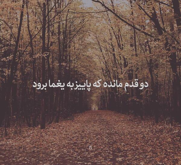 عکس پروفایل دل تنهابه چه شوقی پی یلدا برود