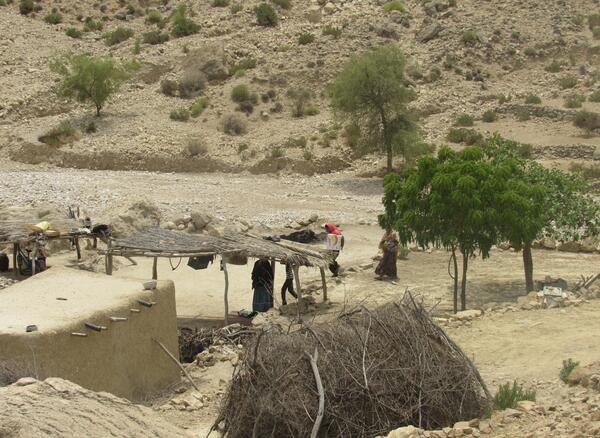 عکس روستای برره