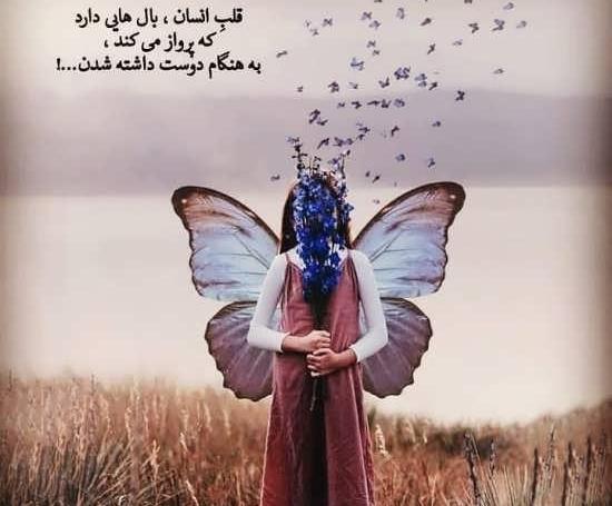 عکس پروفایل خاص پروانه