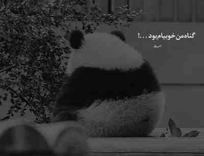 عکس پروفایل هرکی پشت سرم حرف بزنه