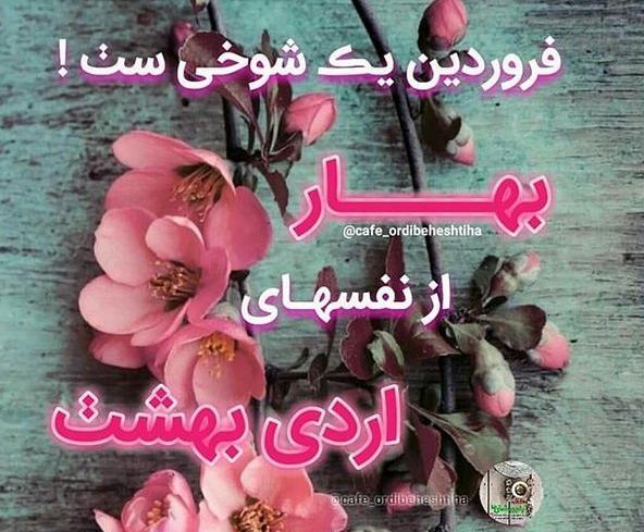 عکس پروفایل شوهر اردیبهشتی