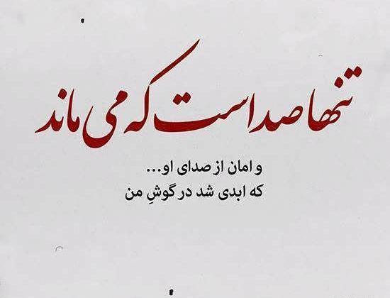 عکس پروفایل فریدون فرخزاد