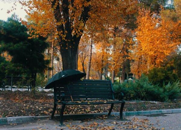 عکس پاییز قم