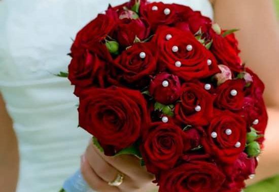 عکس پروفایل گل عروس